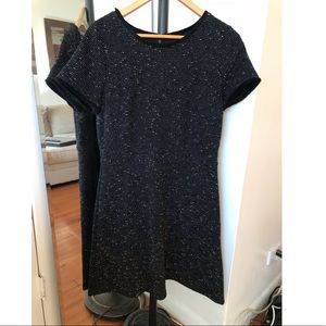 Ann Taylor Skater Dress